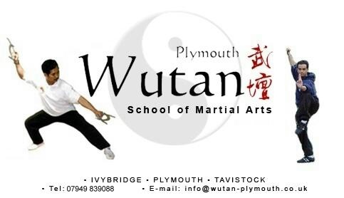 Traditional Chinese Martial Arts - Enter