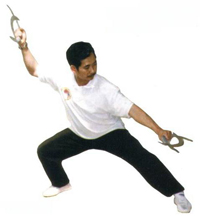 Master They